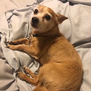 Meet your Posher, Lynn